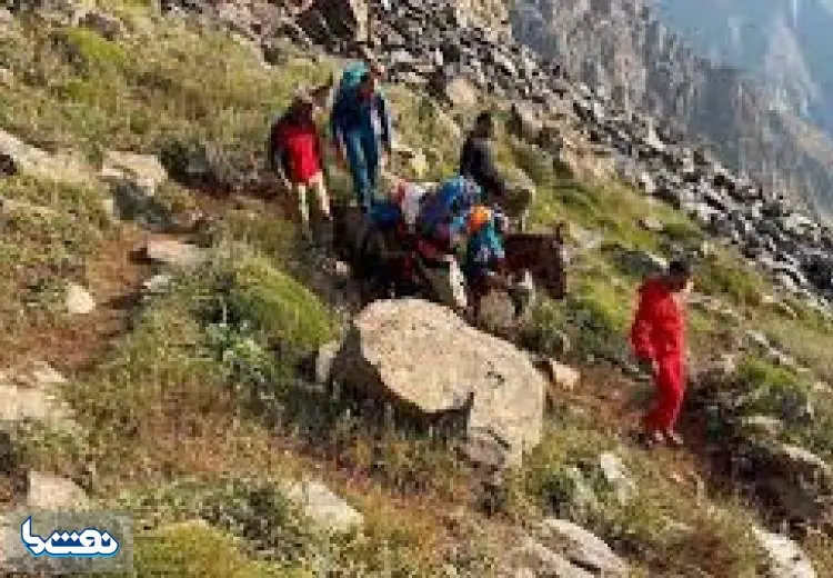 ماجرای سقوط کوهنورد همدانی از قله دندان اژدها چه بود؟ | نفت ما