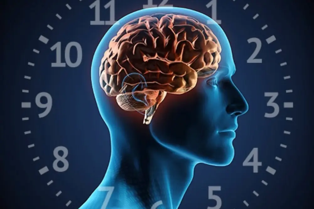 برنامه منظم زندگی چه تأثیری بر افراد مبتلا به بیخوابی دارد؟