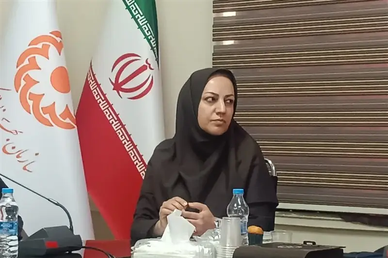 شناسایی 638 فرد پرخطر در طرحهای سلامت روان استان مرکزی - تسنیم