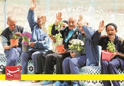 ایران در مسیرسالمندی؛ وقتی فرصت برنامهریزی برای جمعیت پیرکم است - تسنیم
