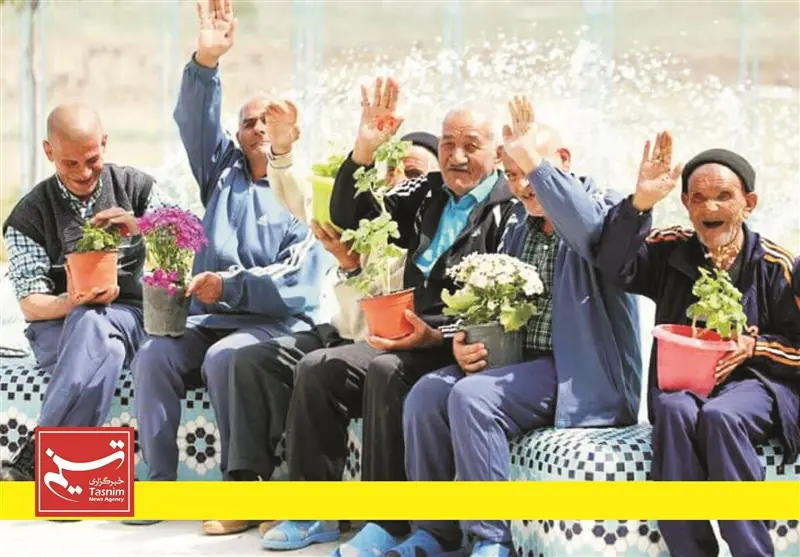 ایران در مسیرسالمندی؛ وقتی فرصت برنامهریزی برای جمعیت پیرکم است - تسنیم