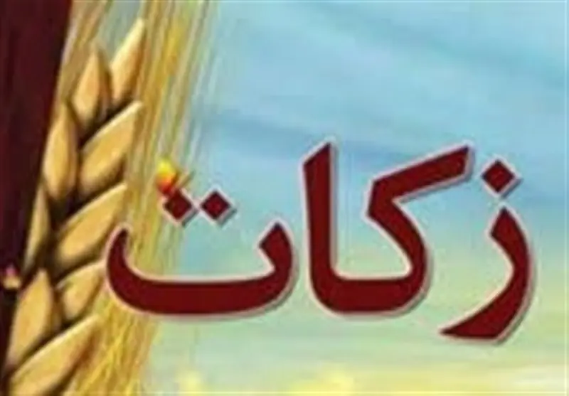 رشد اهدای زکات دام توسط عشایر مراغه - تسنیم