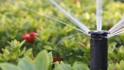 آب شرب قربانی آبیاری فضای سبز؛ مطالبهای جدی برای پایان هدررفت منابع آبی لرستان