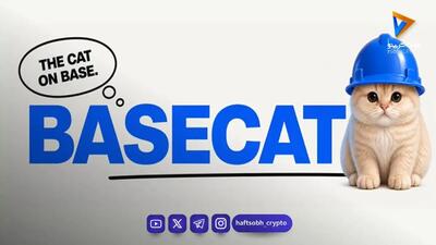 جهش ۲٬۰۰۰ درصدی یک میمکوین؛ BASECAT چرا ناگهان منفجر شد؟ارز دی