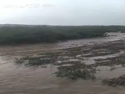 فیلم/ خسارت سیل به باغها و مزارع لوبیای چهارده رودبار دامغان