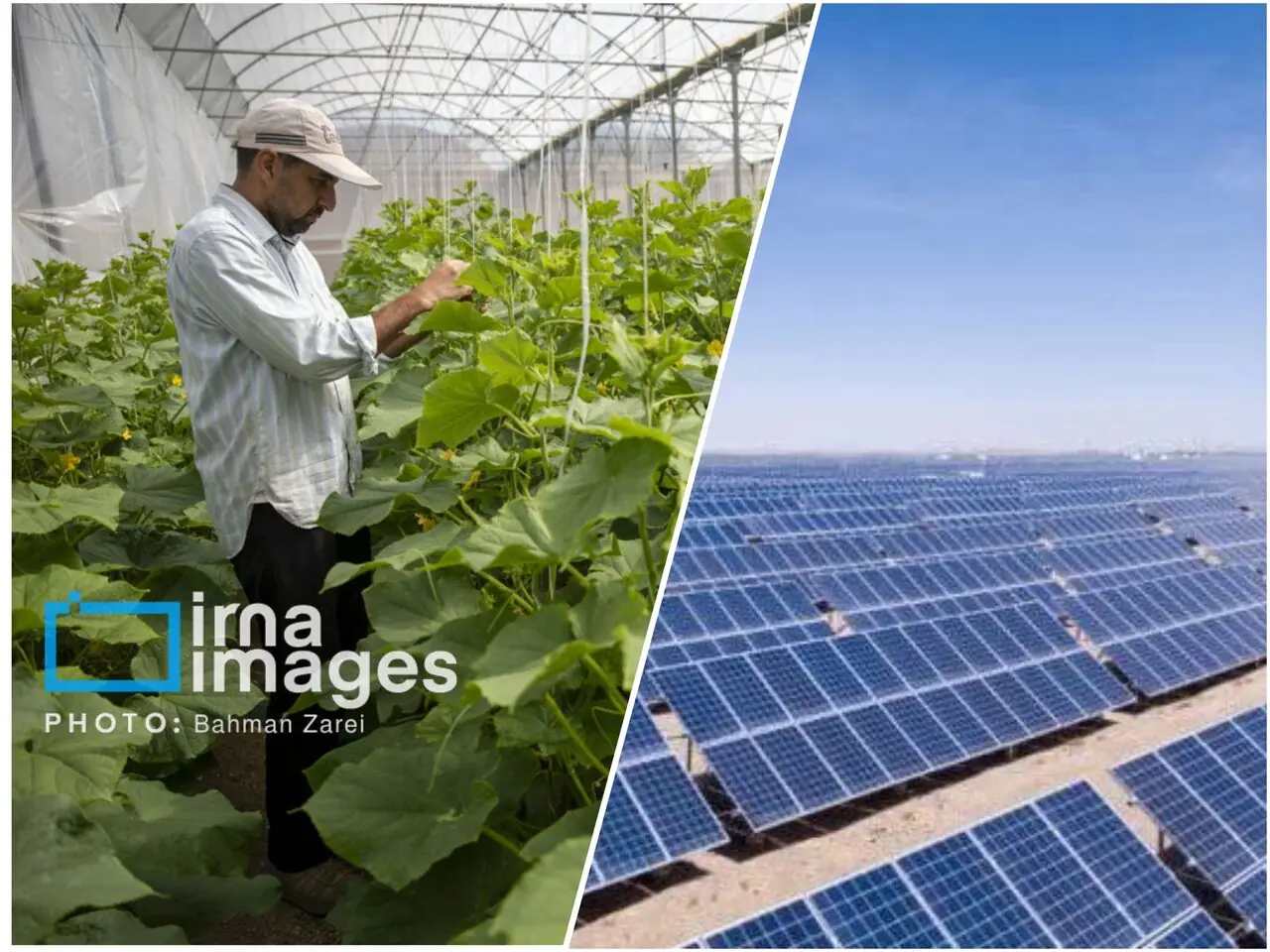 واگذاری ۶۴۰۰ هکتار اراضی آذربایجانشرقی برای توسعه گلخانهها و نیروگاههای خورشیدی