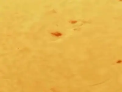 سقوط روی خورشید!