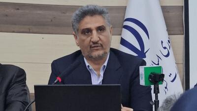 پیشبینی برداشت ۲۵۰ هزار تن خرما در جنوب کرمان