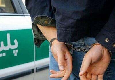  دستگیری عامل ارتباط با شبکه‌های معاند در کرج