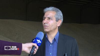  آغاز پرداخت مرحله دوم مطالبات گندم‌کاران اردبیل