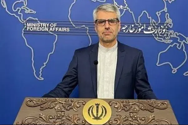 بقایی: فرض ما بر اسارت خلبانان است/دو دیپلمات فرانسوی ایران را ترک کردند