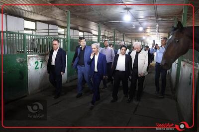 بازدید وزیر ورزش و جوانان از مجموعه سوارکاری نوروز آباد
