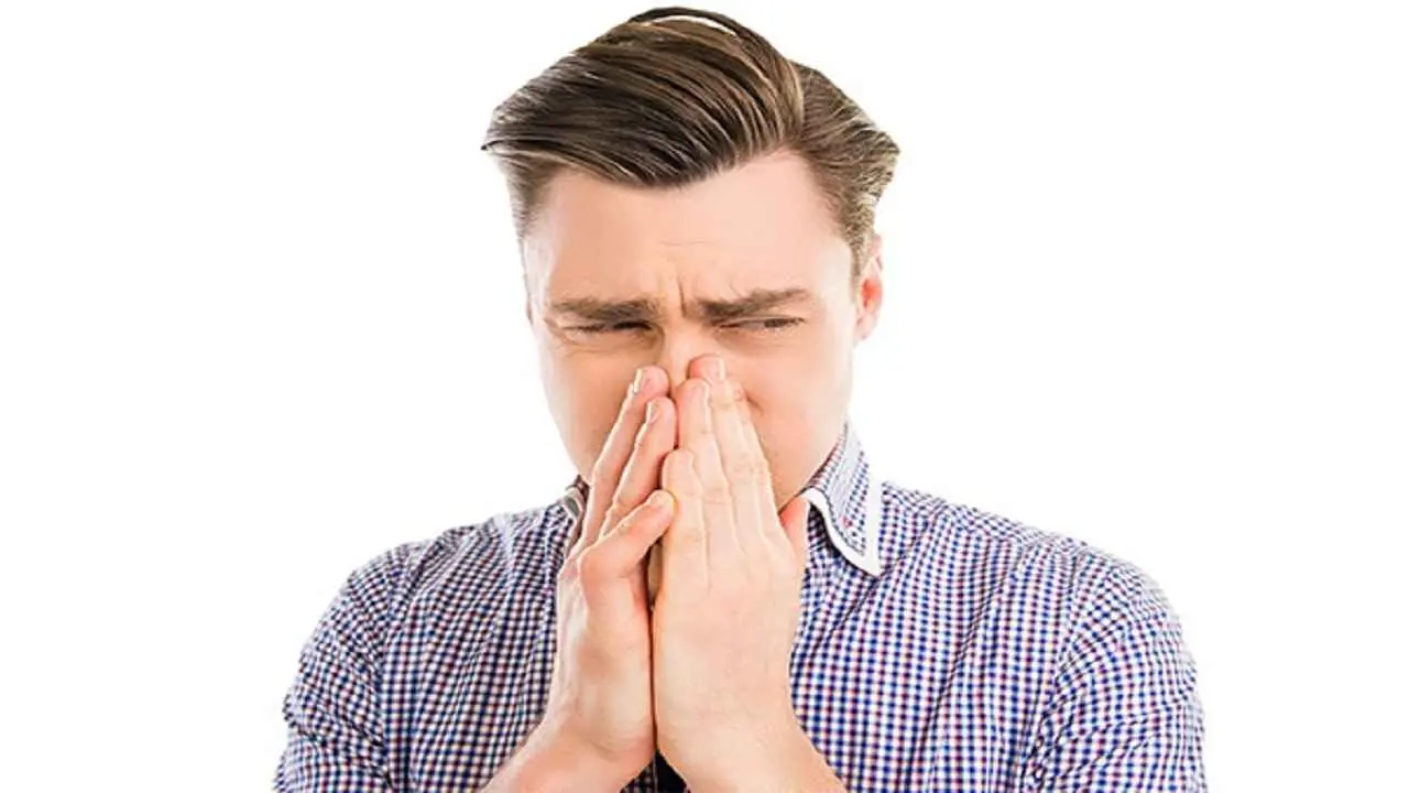 چگونه بوی کپک فرش را از بین ببرید؟