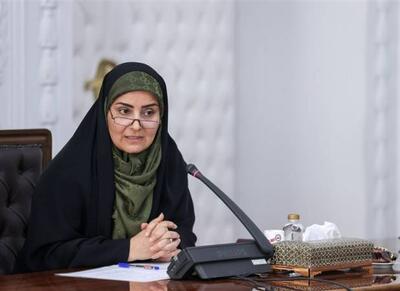 هزینه آماده‌سازی زمین‌های نهضت ملی بسیار بالاست - اکونیوز