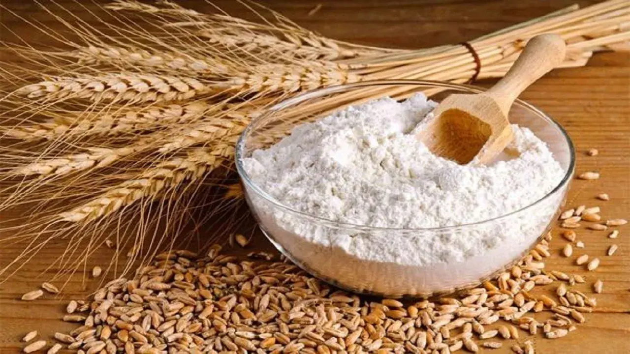 سالانه ۲۰ میلیون تن غلات وارد میشود
