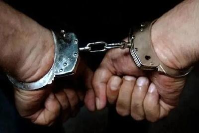 دادسرای جنایی تهران: ۹ نفر از عوامل اصلی قتل حمیدرضا رجبزاده دستگیر شدند