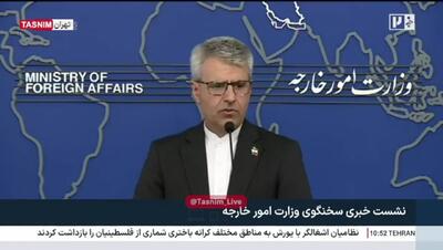 ببینید | بقائی: ایران وضعیت خلبانان ارتش را از مجاری دیپلماتیک پیگیری میکند