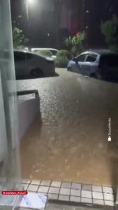  سیل و رانش زمین در کره جنوبی
