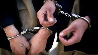 دستگیری متهم ۴ فقره قتل عمد در تهران / سارق طلافروشیها در صادقیه به دام پلیس افتاد