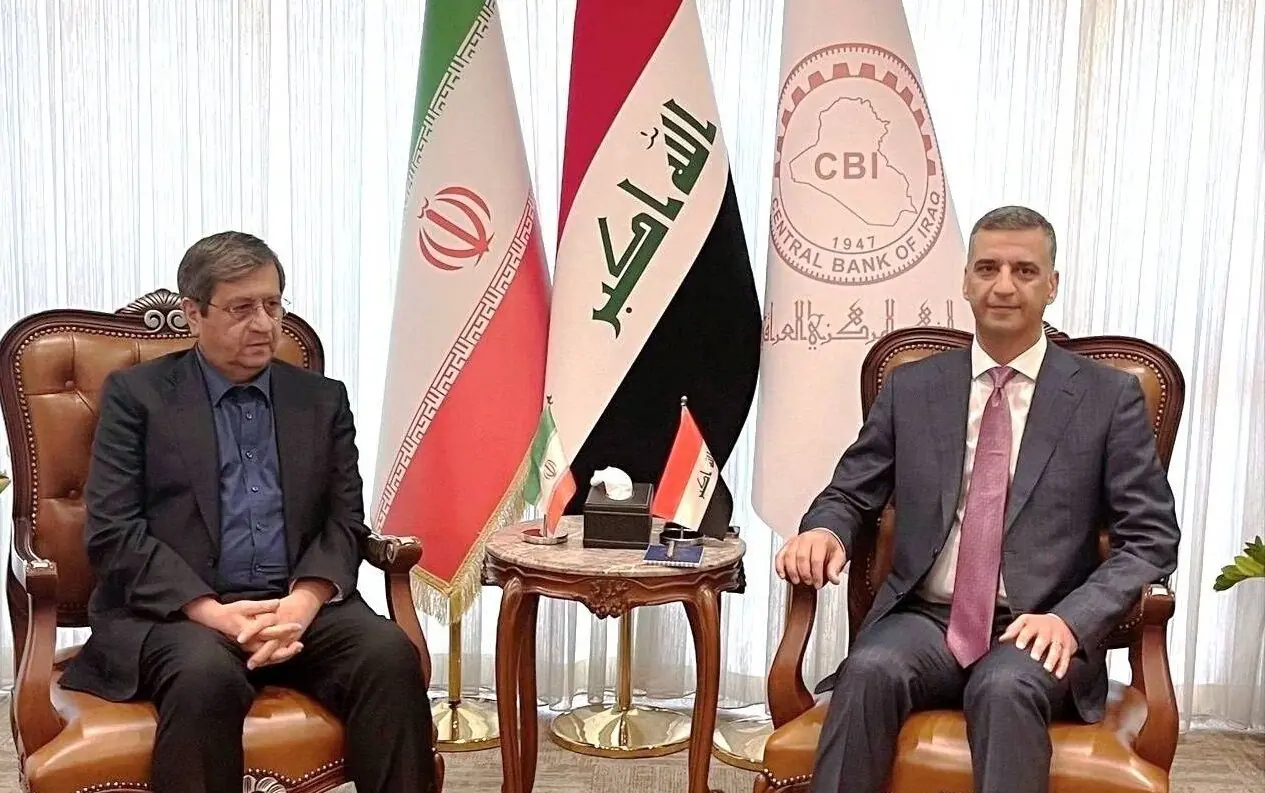  همتی خواستار رفع موانع در استفاده از منابع ارزی ایران شد