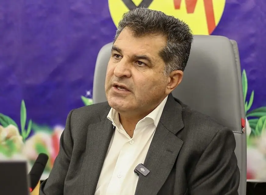 فارس مسئول تدوین نظامنامه جامع کنترلهای داخلی شرکتهای برق منطقهای شد