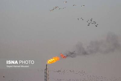 مناطق نفتخیز جنوب ۳.۵ هزار میلیارد تومان به شهرداری اهواز بدهکار است