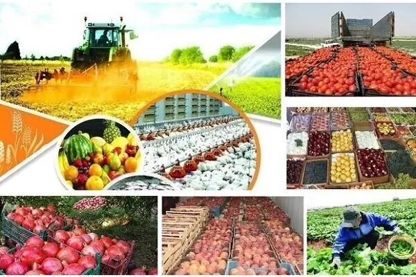 حمایت مالی از زنجیرههای تولید کشاورزی خراسان شمالی