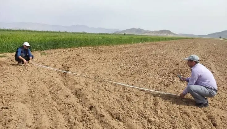 تأکید بر تسریع در صدور شناسنامه بهره‌برداران کشاورزی در سیستان و بلوچستان