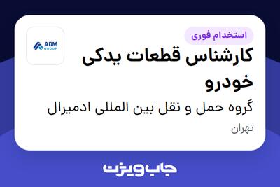 استخدام کارشناس قطعات یدکی خودرو - آقا در گروه حمل و نقل بین المللی ادمیرال