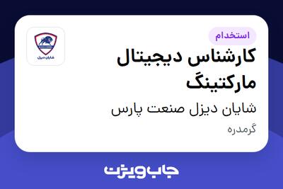 استخدام کارشناس دیجیتال مارکتینگ - خانم در شایان دیزل صنعت پارس