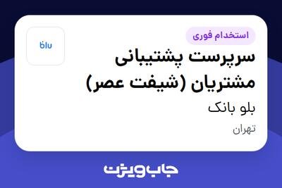 استخدام سرپرست پشتیبانی مشتریان (شیفت عصر) در بلو بانک
