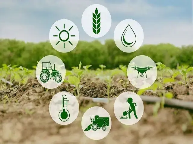 با وجود قطع مسیرهای جنوبی، امنیت غذایی ایران تهدید نمی شود