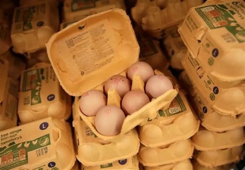 بحران تخممرغ آلوده و شیوع سالمونلا در آمریکا