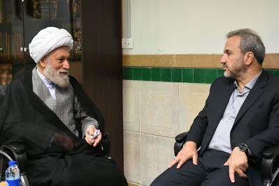 آیتالله دژکام: مدیریت اتباع نیازمند تدبیر هوشمندانه است