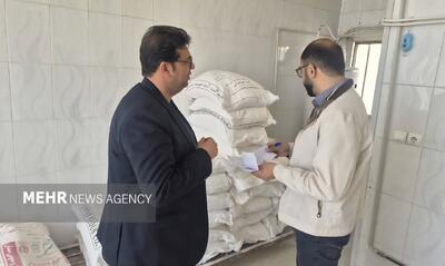 تأمین آرد ساری پایدار است؛ بهبود کیفیت آرد نانواییها