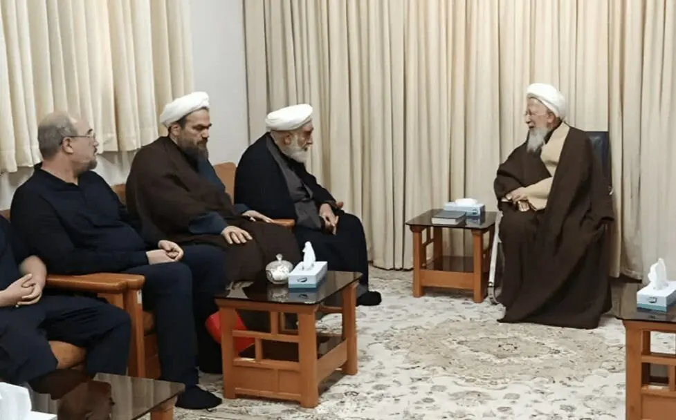 دیدار محمدیگلپایگانی و سیدحسن خمینی با آیتالله جوادیآملی