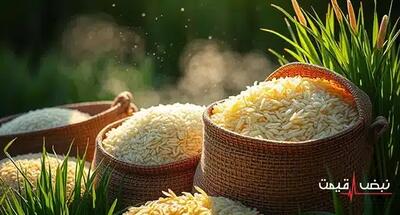 برنج هاشمی از مرز روانی ۵۰۰ هزار تومان عبور کرد / جدول قیمت ۵۰ نوع برنج در ۲۶ مرداد ۱۴۰۵ / هشدار درباره «انجماد قیمتی در سقف»؛ آیا برنج گرانتر هم میشود؟