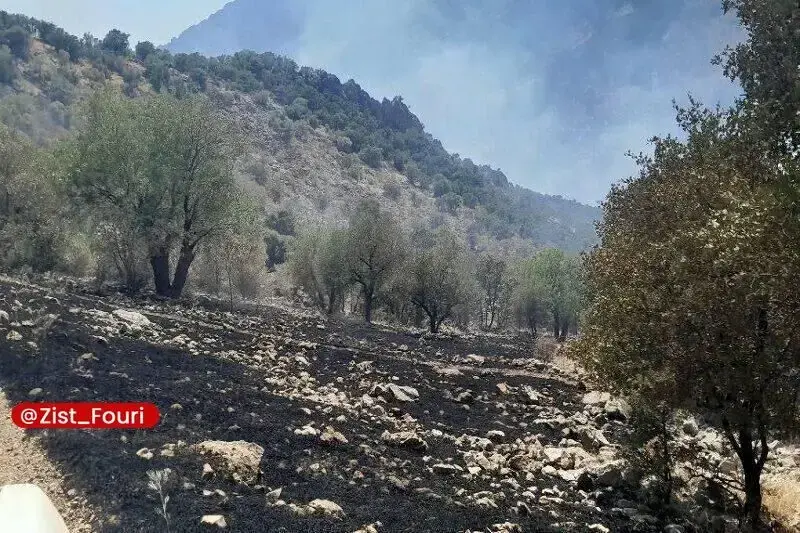 آتشسوزی در منطقه حفاظت شده شاهو و کوسالان مهار شد