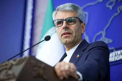 ببینید| آخرین وضعیت خلبانان ارتش از زبان سخنگوی وزارت خارجه