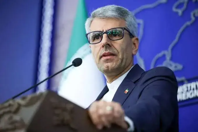 ببینید| آخرین وضعیت خلبانان ارتش از زبان سخنگوی وزارت خارجه