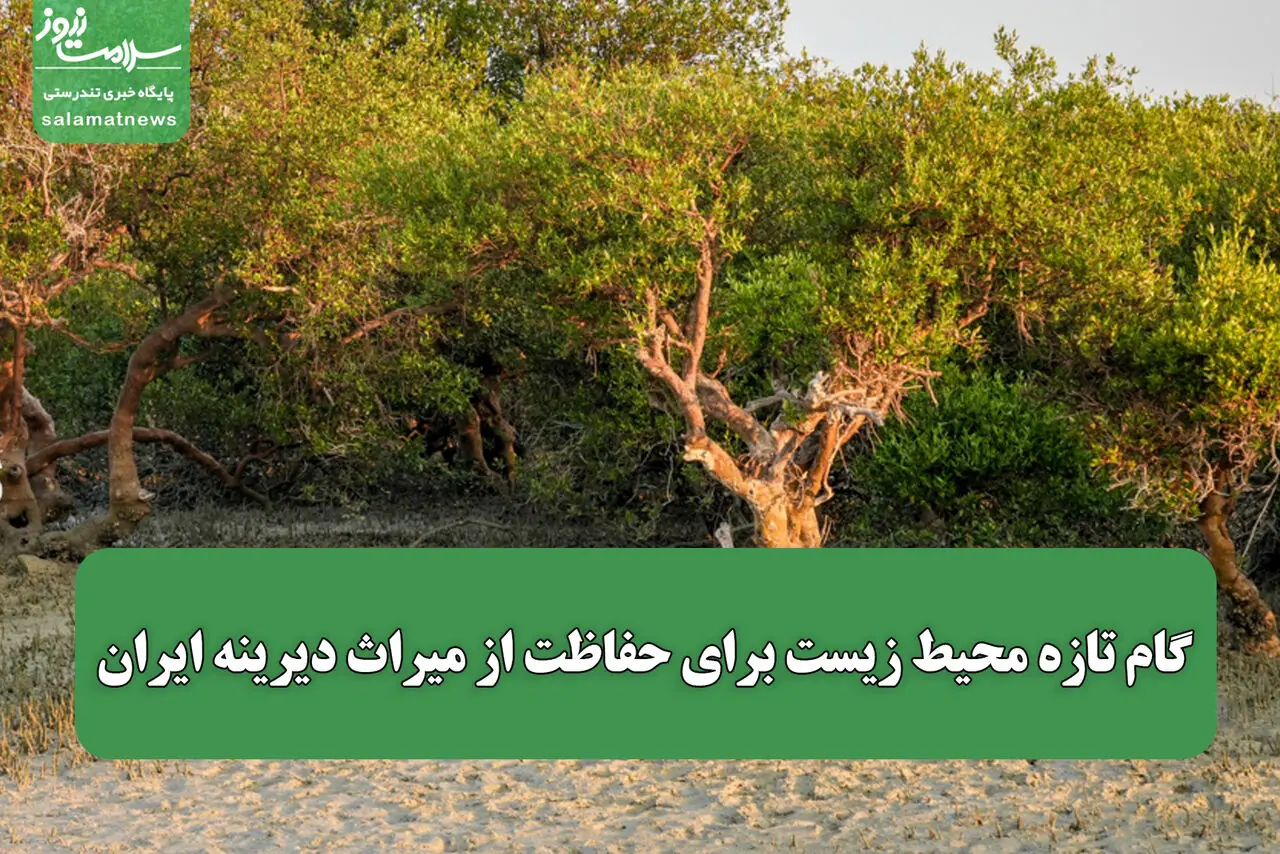 گام تازه محیط زیست برای حفاظت از میراث دیرینه ایران