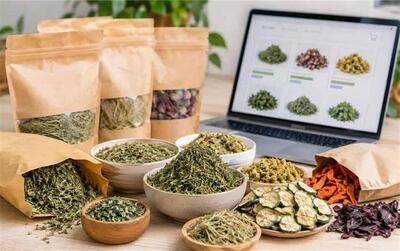 5 بهترین سایت سبزیجات خشک (معتبر، دسته اول)