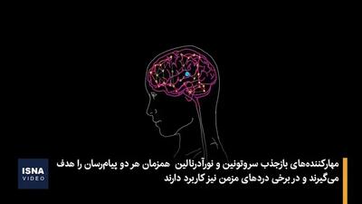 داروهای ضد افسردگی چه تغییراتی در مغز ایجاد می کنند؟