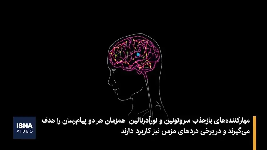  داروهای ضد افسردگی چه تغییراتی در مغز ایجاد می کنند؟
