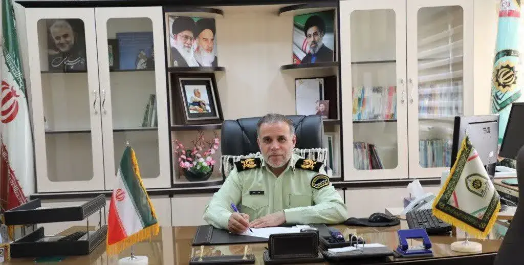 کشف ۱۹ میلیاردی فرآوردههای جنگلی قاچاق در اردبیل