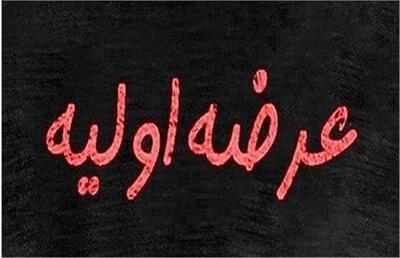 جزییات ۱۲ عرضه اولیه بورس تهران در سال ۱۴۰۵