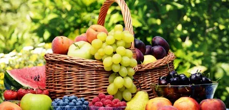  قیمت میوه در میادین تره بار امروز دوشنبه 26 مرداد 1405