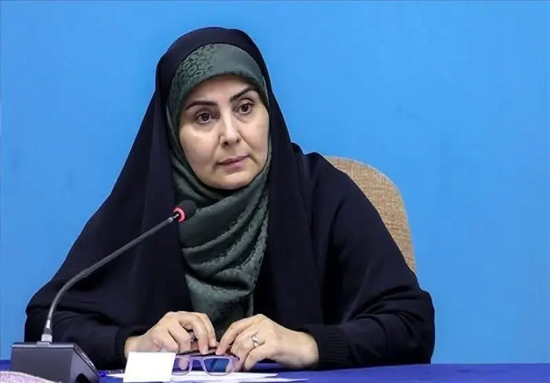 صادق: 100 هواپیما را در جنگ تحمیلی از دست دادیم - تسنیم