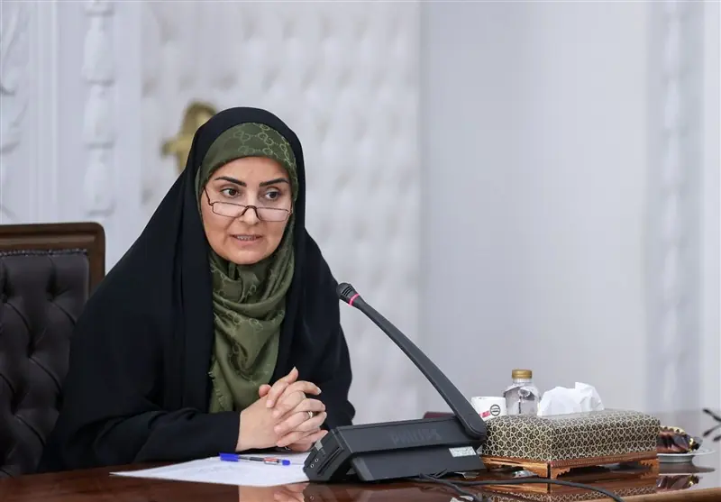 هزینه آمادهسازی برخی زمینهای نهضت ملی چند برابر ساخت واحدهاست - تسنیم