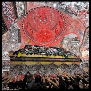  چرا ائمه بر زیارت امام حسین (ع) در شب جمعه تأکید دارند؟ - تسنیم